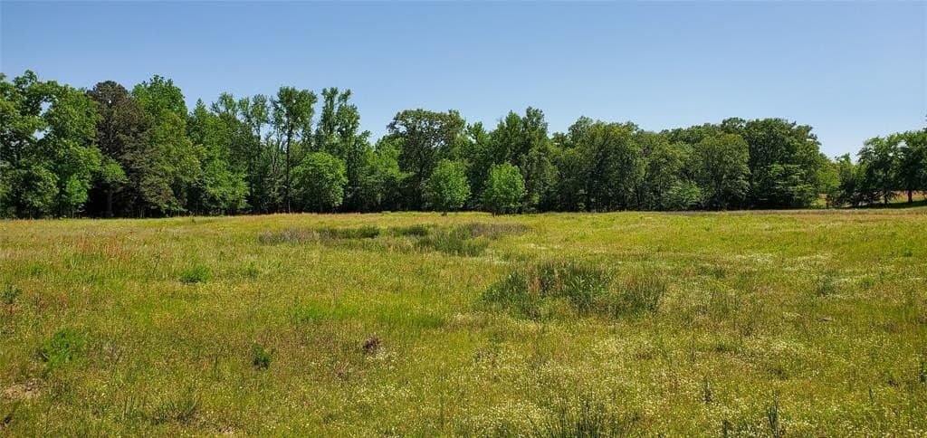 50 acres in Wood County gallery image 2