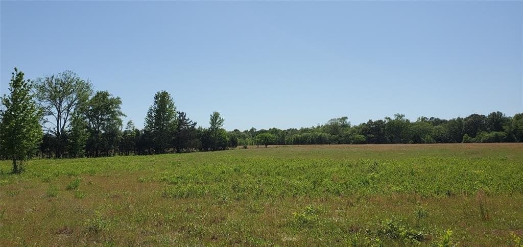 50 acres in Wood County featured view