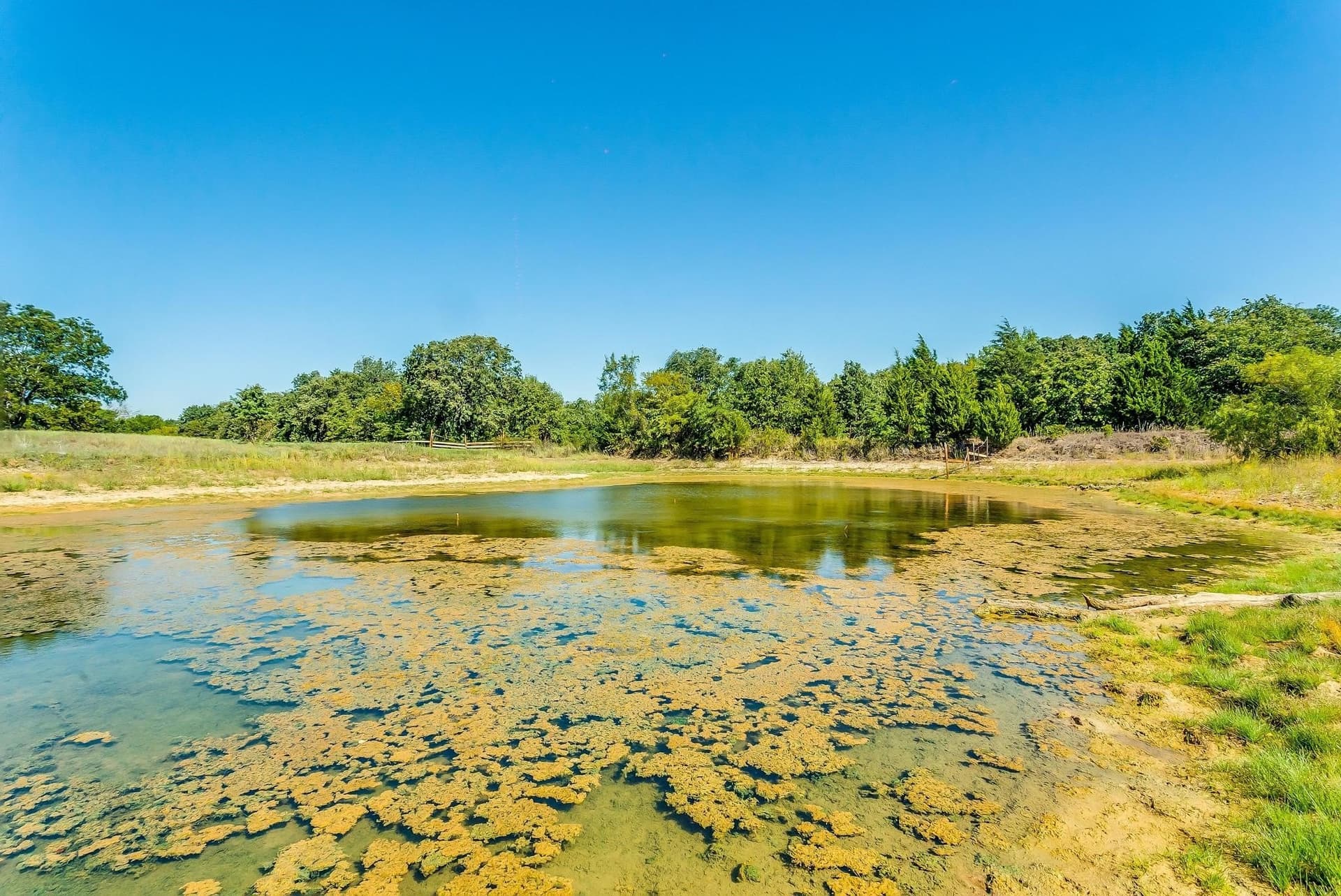 80.52 acres in Montague County - photo 15