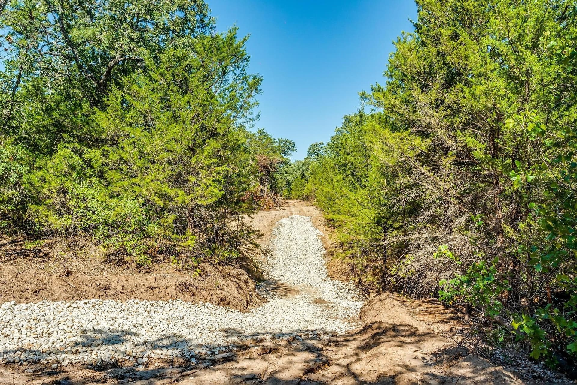 80.52 acres in Montague County - photo 18