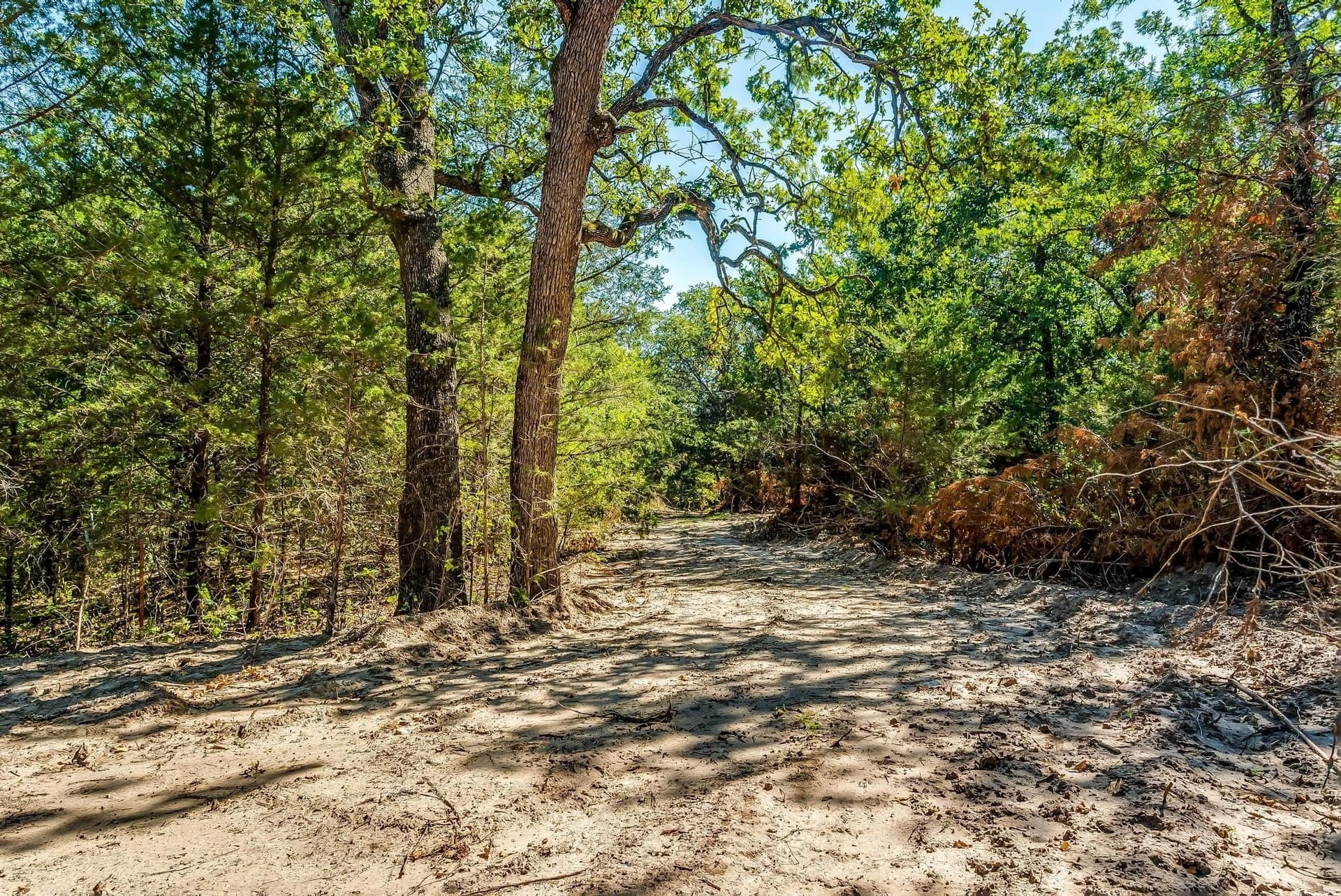 80.52 acres in Montague County - photo 17