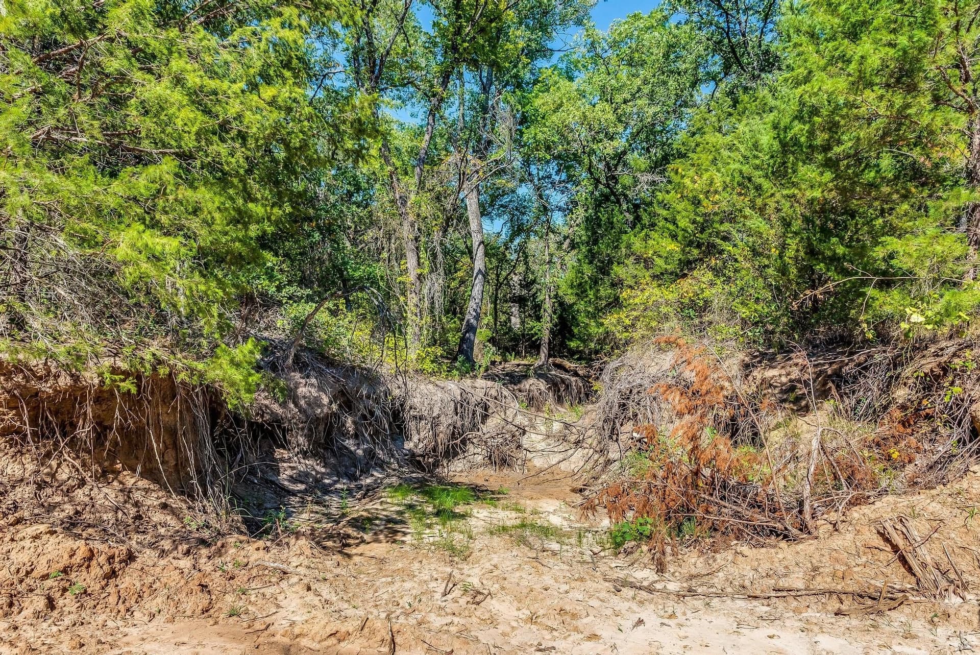 80.52 acres in Montague County - photo 23