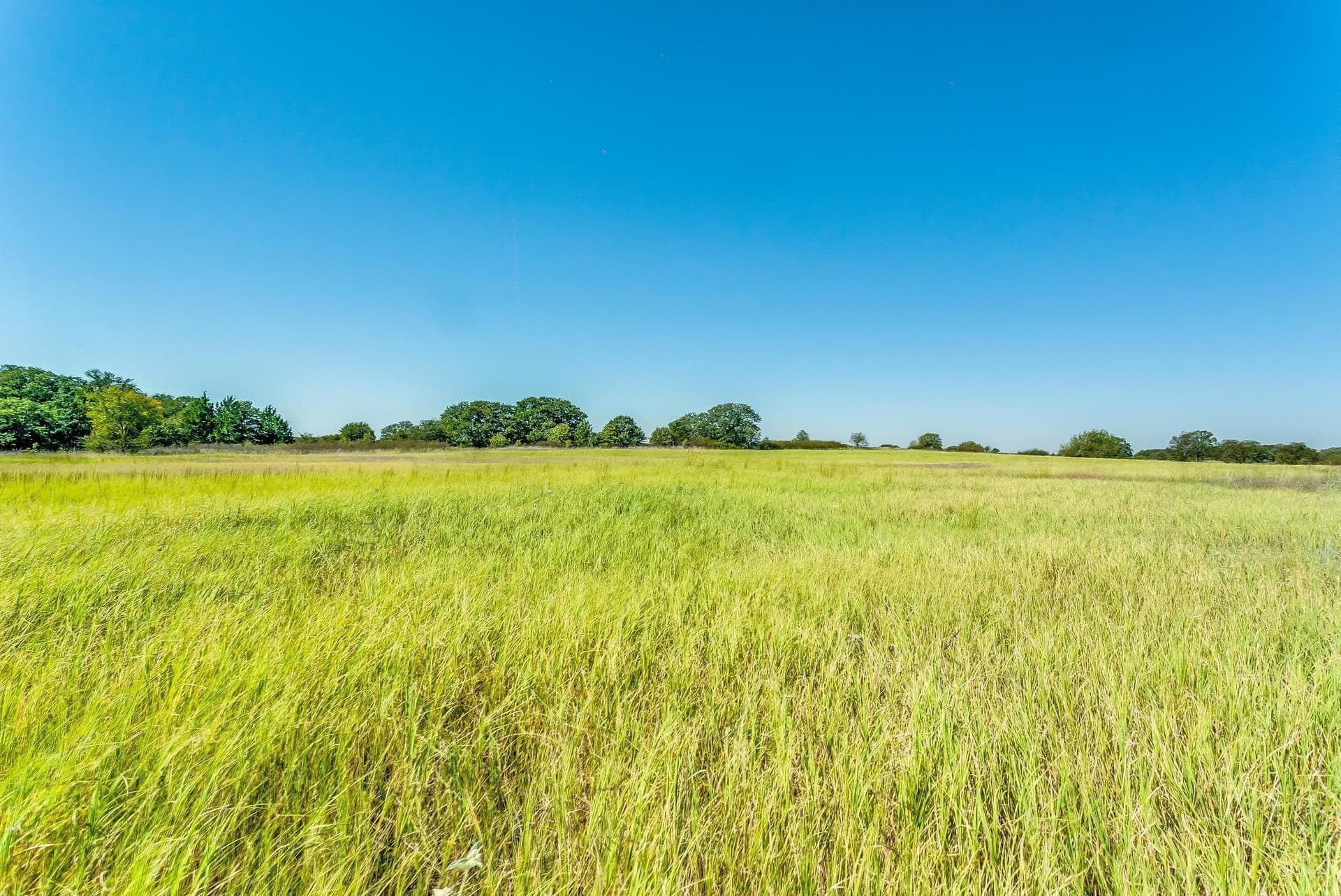 80.52 acres in Montague County - photo 16