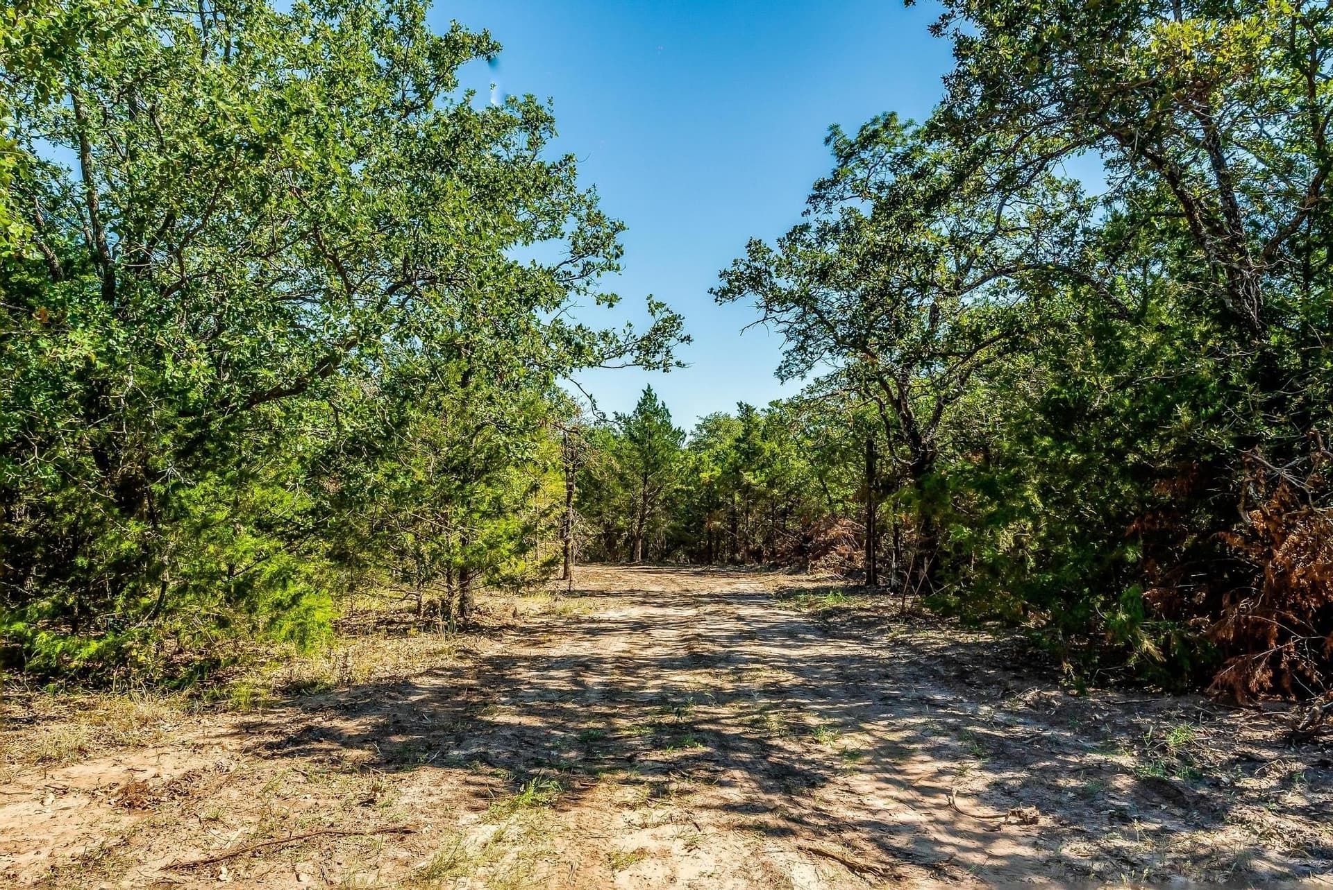 80.52 acres in Montague County - photo 20