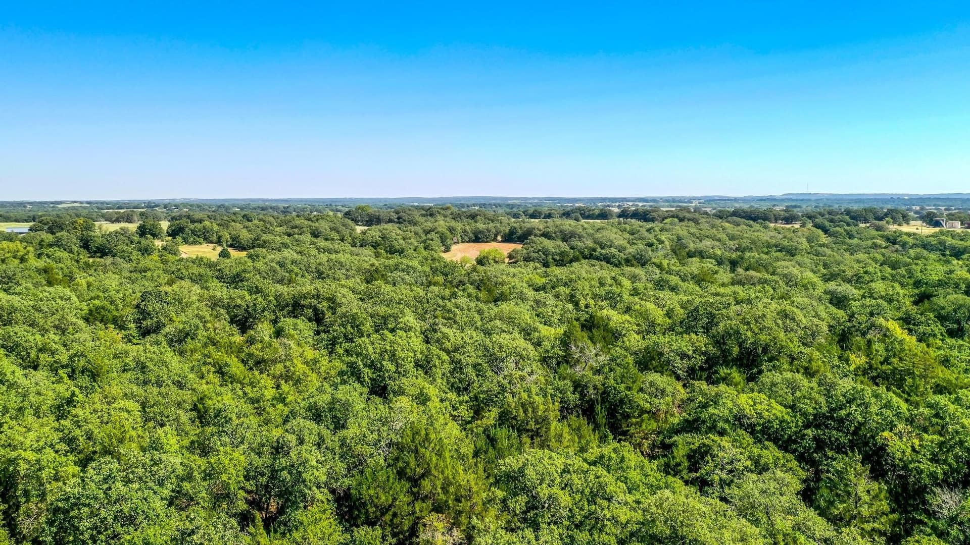 80.52 acres in Montague County - photo 9