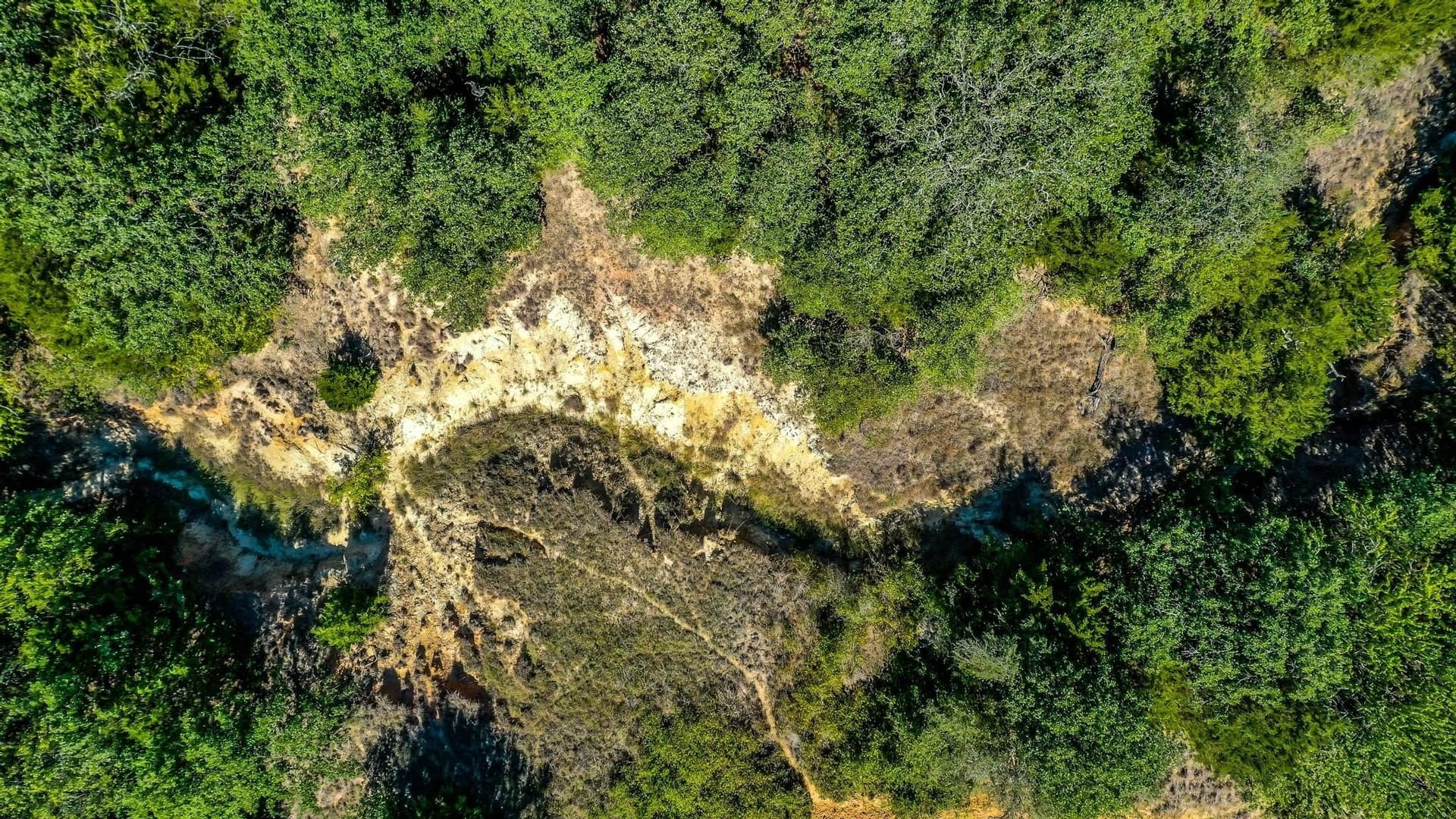 80.52 acres in Montague County - photo 12