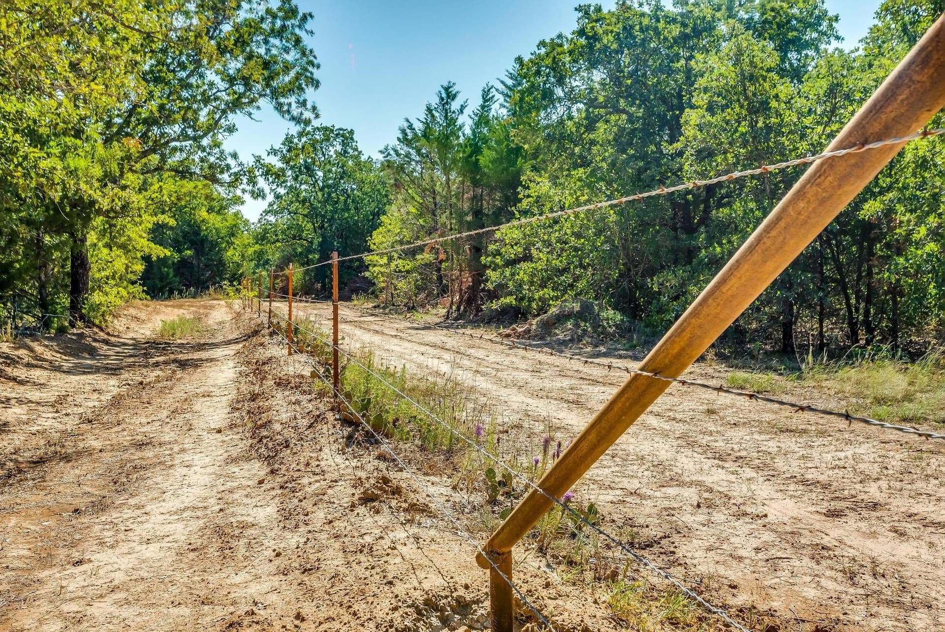 80.52 acres in Montague County - photo 13