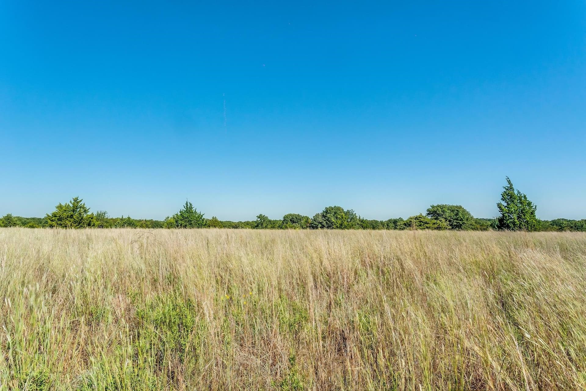 80.52 acres in Montague County - photo 14