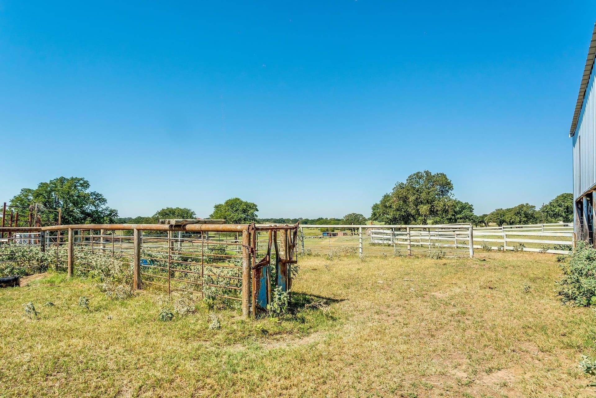 80.52 acres in Montague County - photo 28