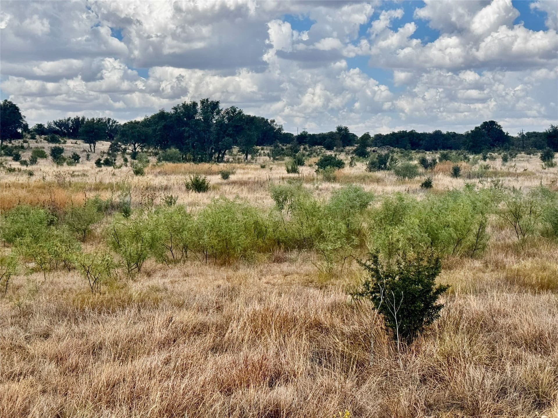 55.1 acres in Nolan County - photo 18
