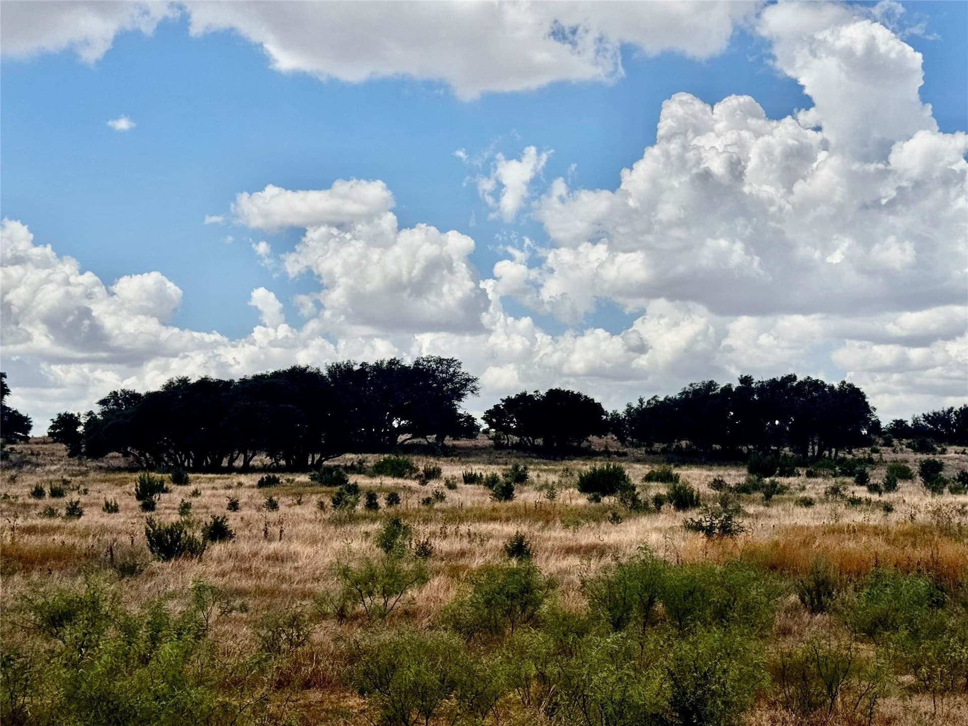 55.1 acres in Nolan County - photo 17