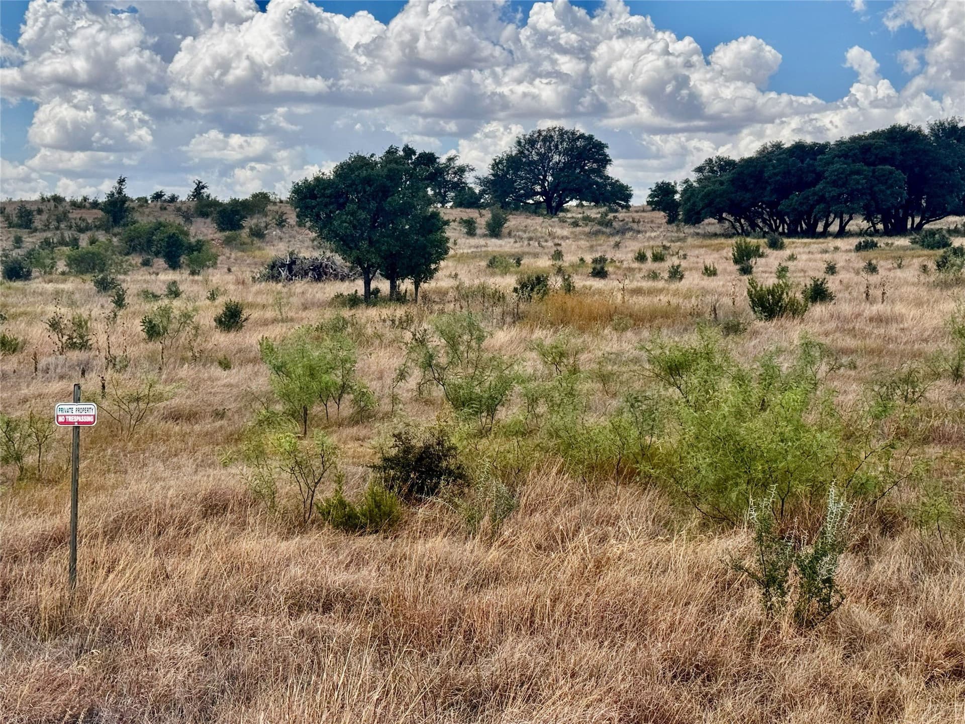 55.1 acres in Nolan County