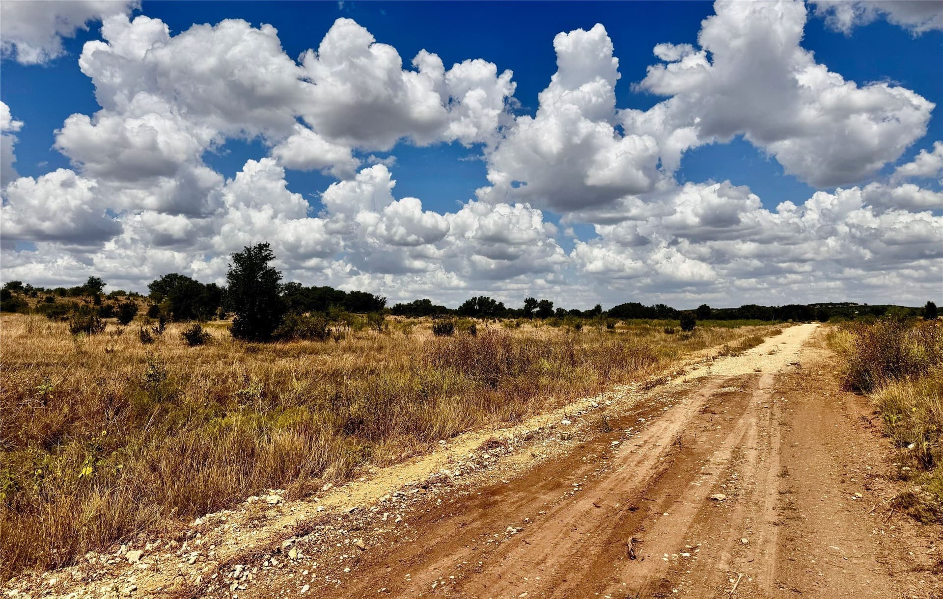 55.1 acres in Nolan County - photo 19