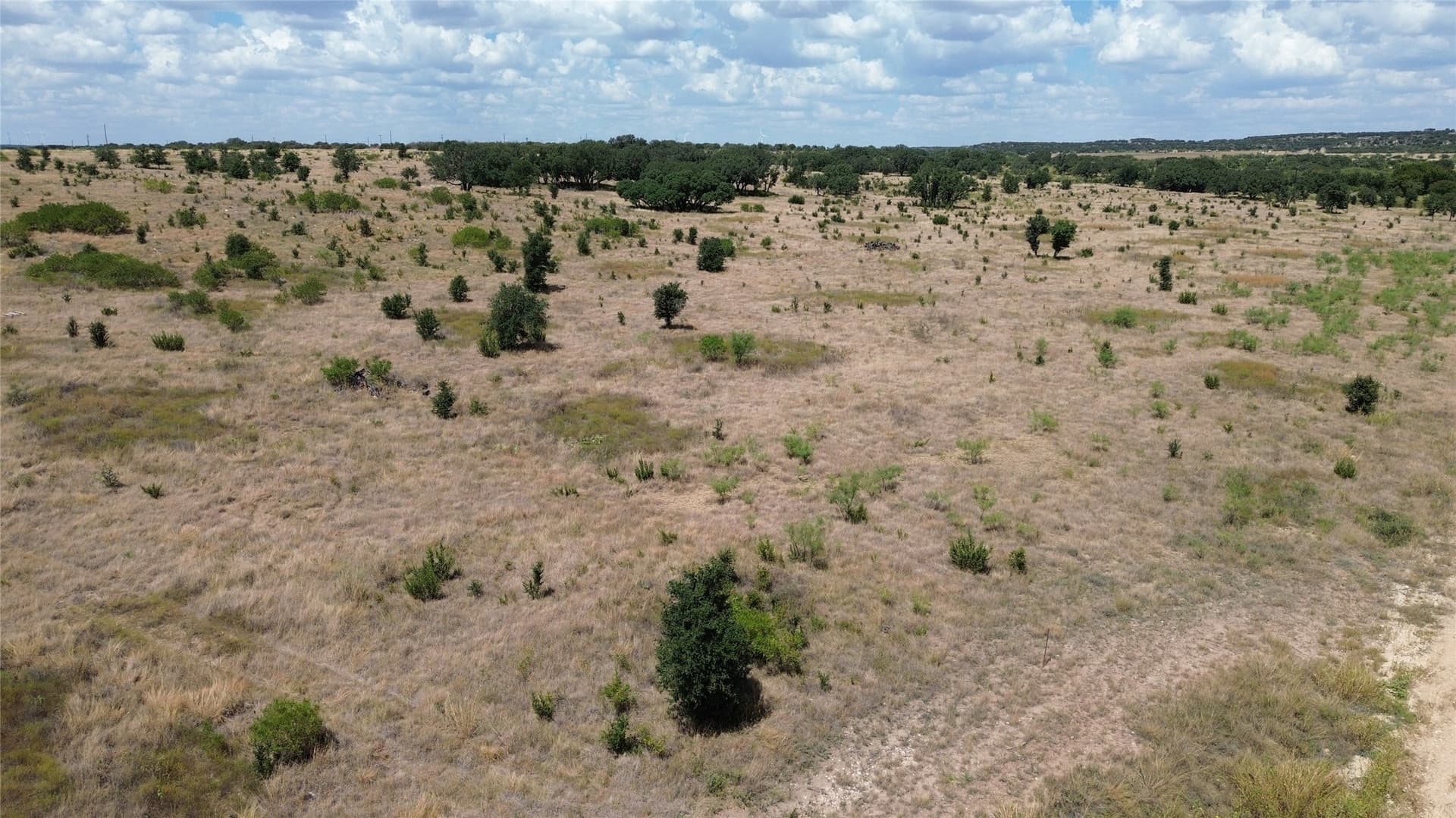 55.1 acres in Nolan County - photo 2