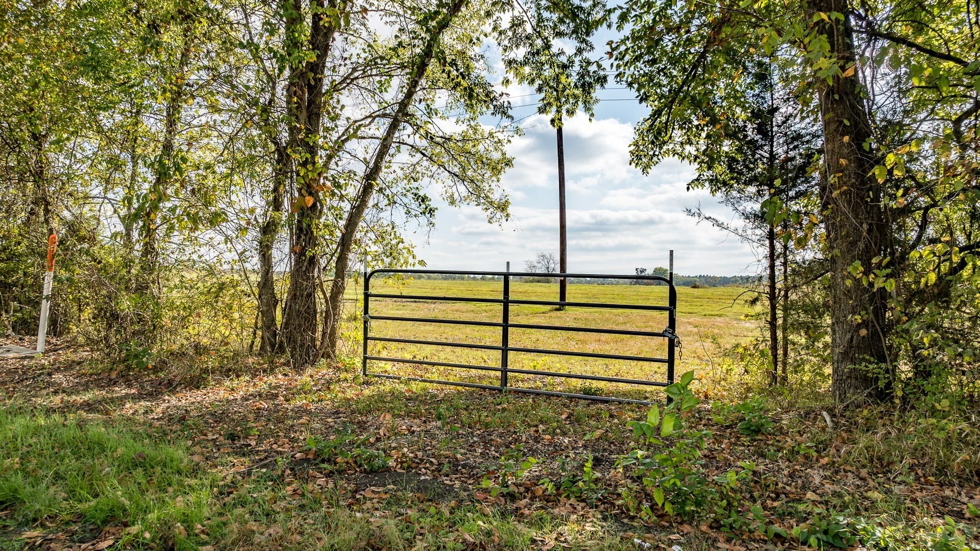 5 acres in Red River (TX) County gallery image 3