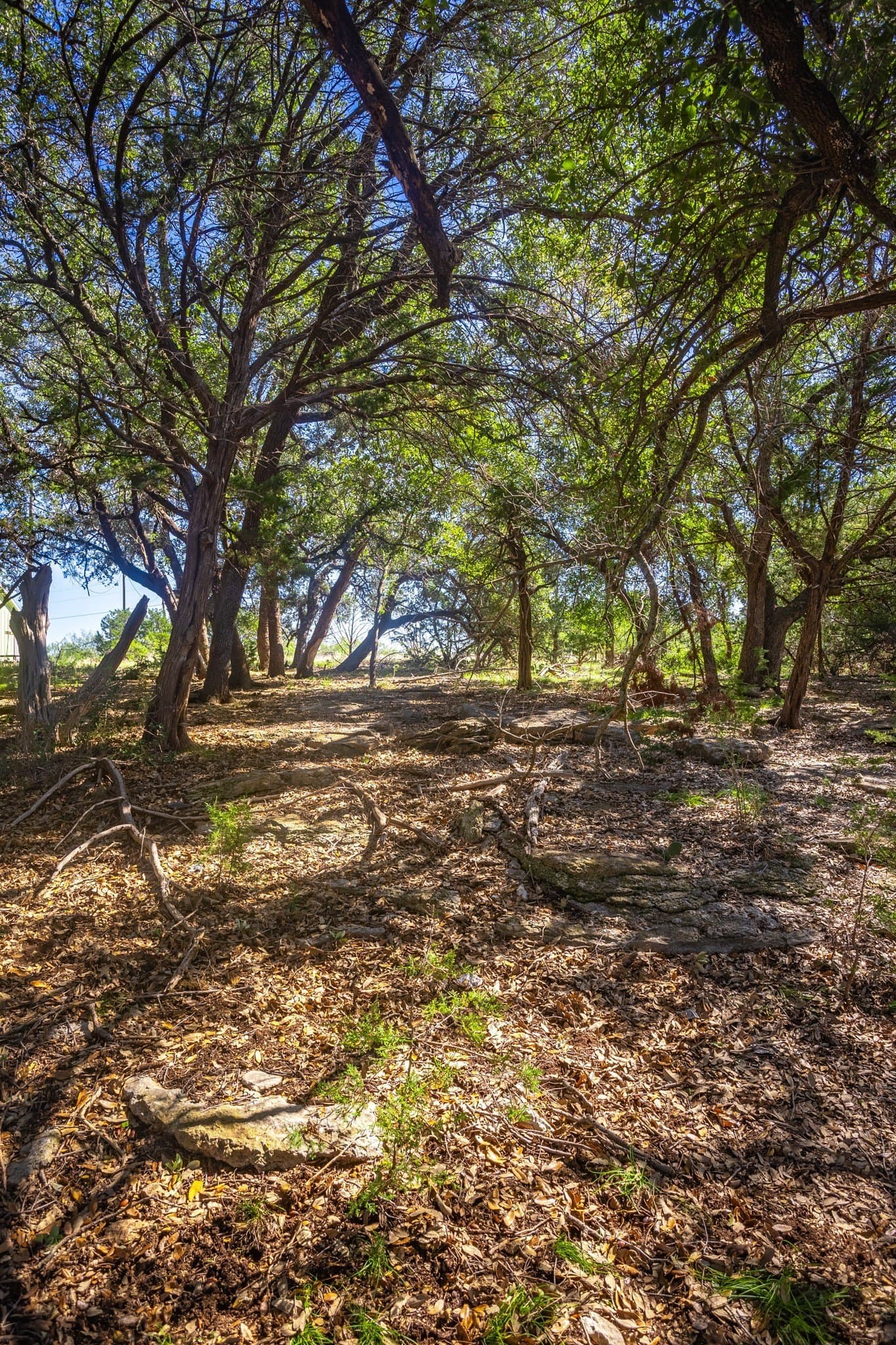 1.05 acres in Palo Pinto County - photo 16