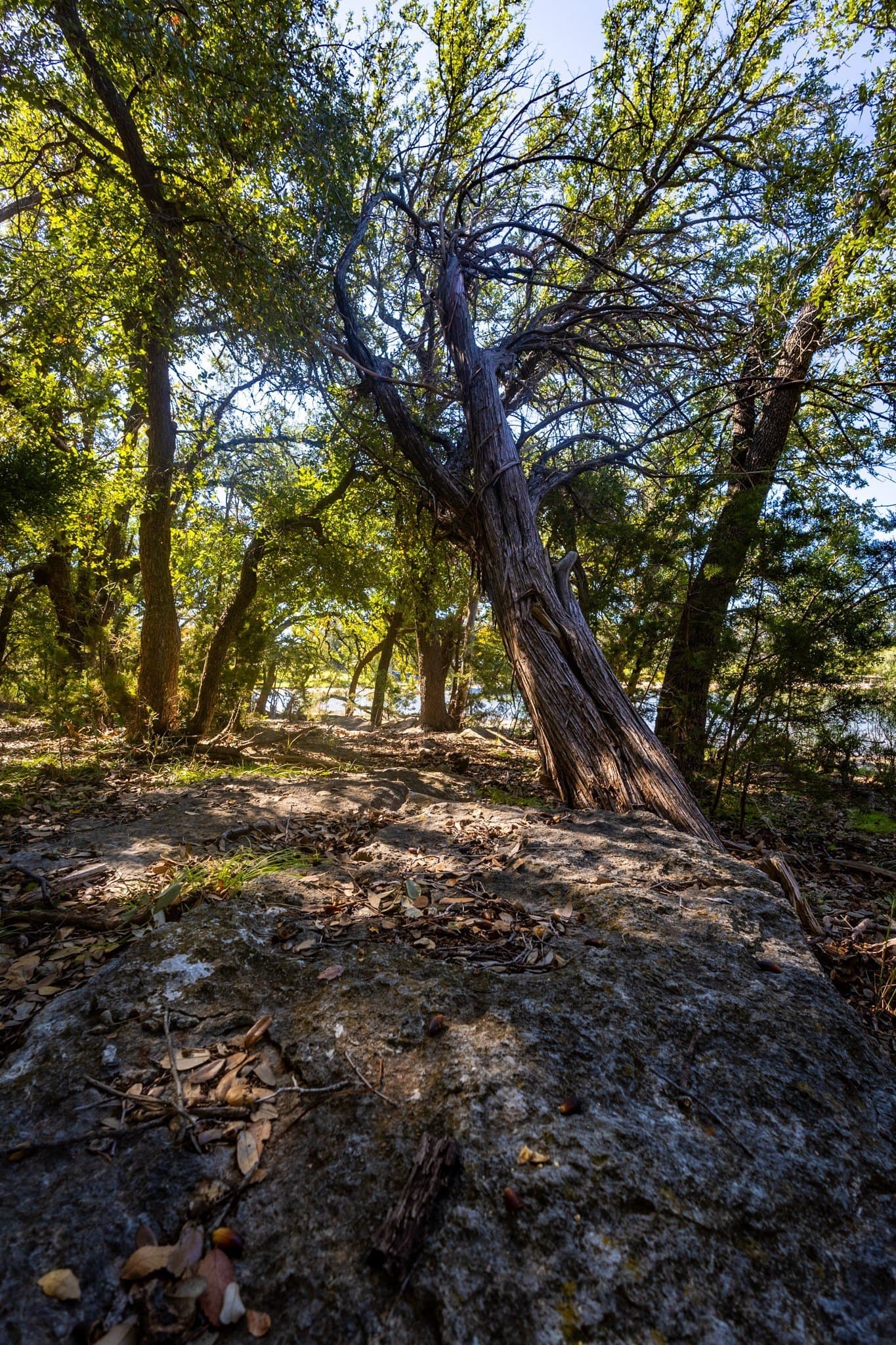 1.05 acres in Palo Pinto County - photo 15