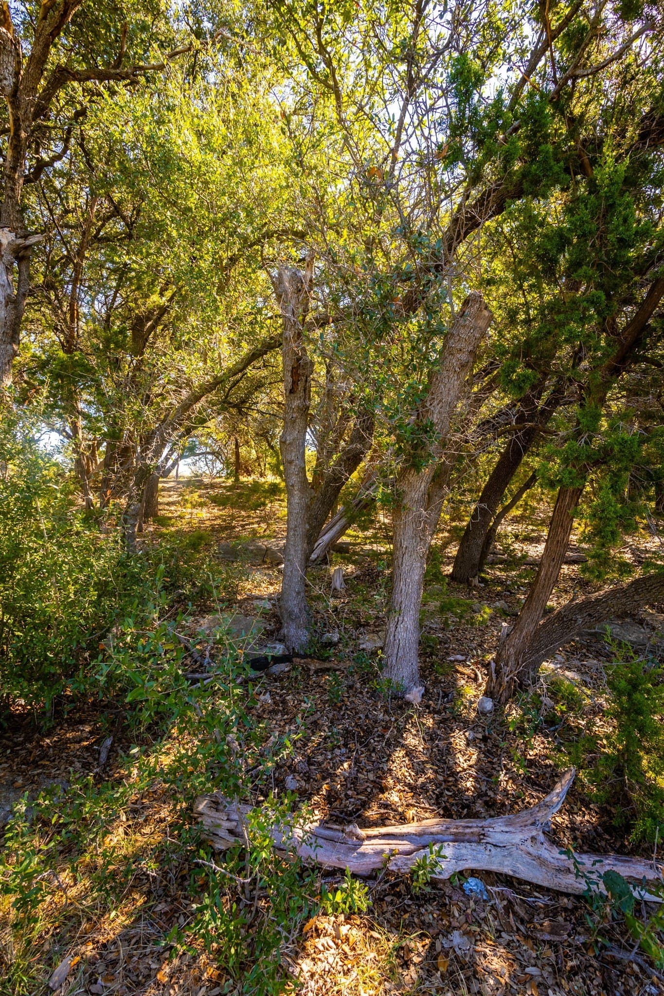 1.05 acres in Palo Pinto County - photo 13