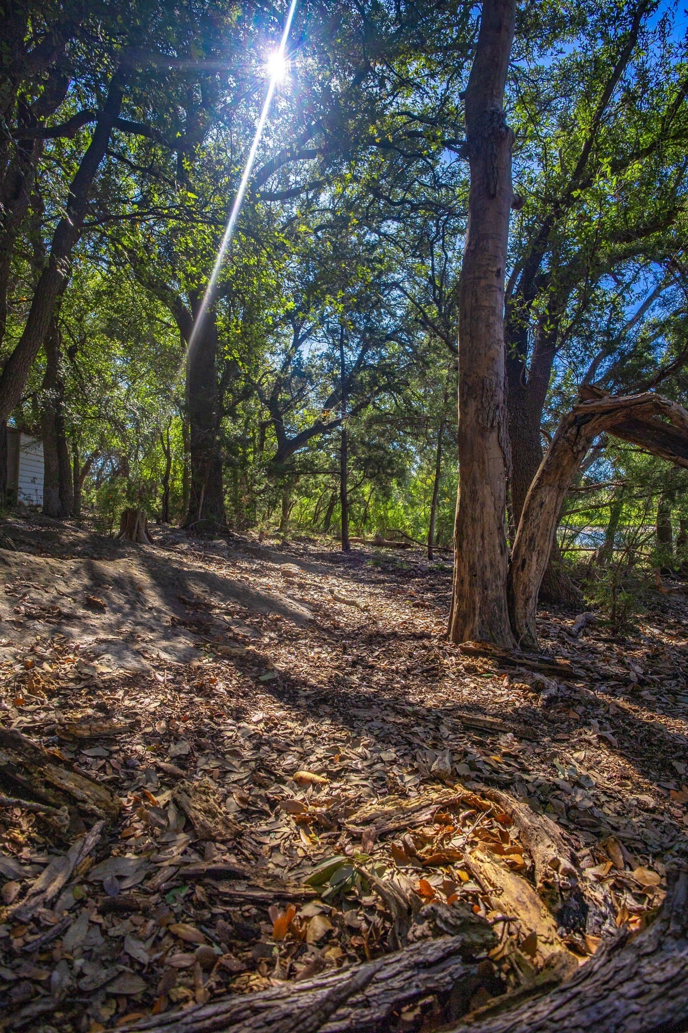 1.05 acres in Palo Pinto County - photo 17