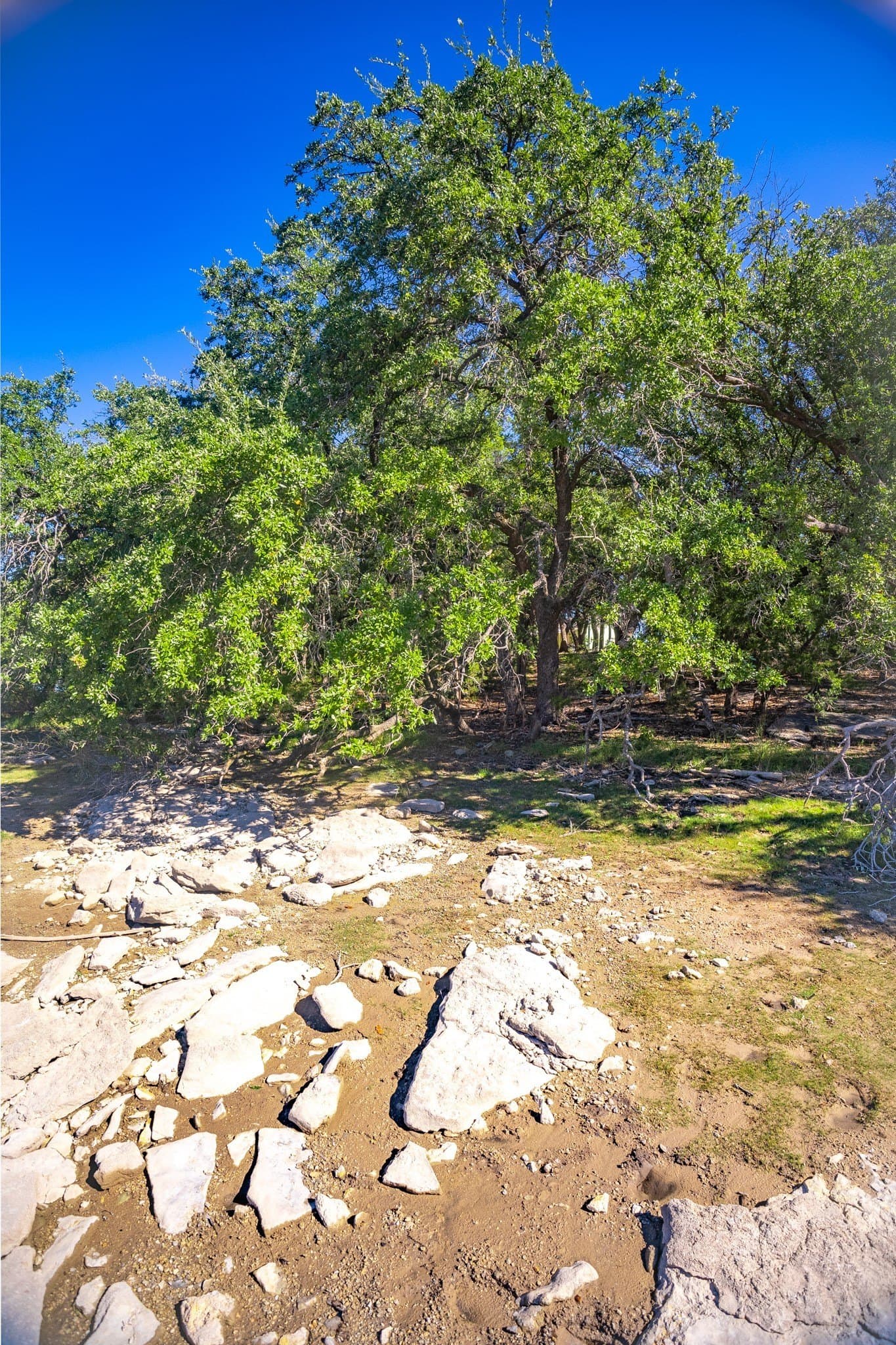 1.05 acres in Palo Pinto County - photo 21