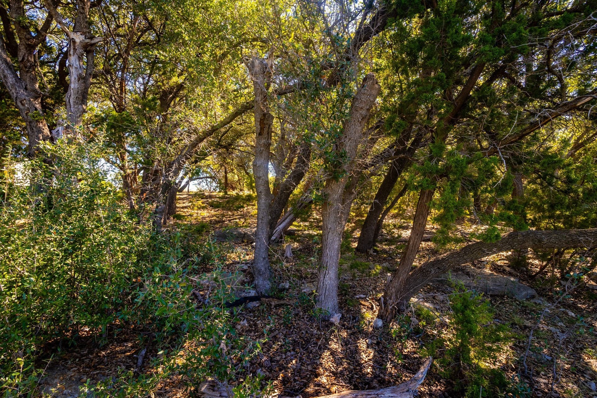 1.05 acres in Palo Pinto County - photo 10