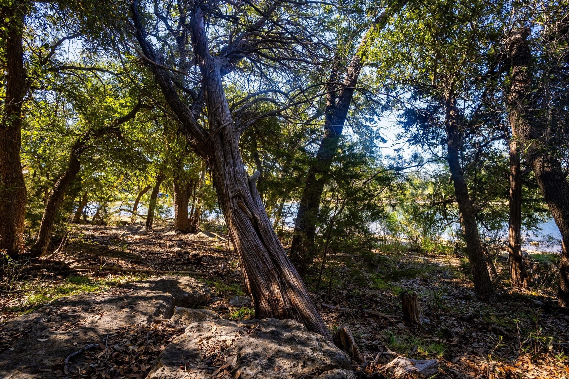 1.05 acres in Palo Pinto County - photo 11