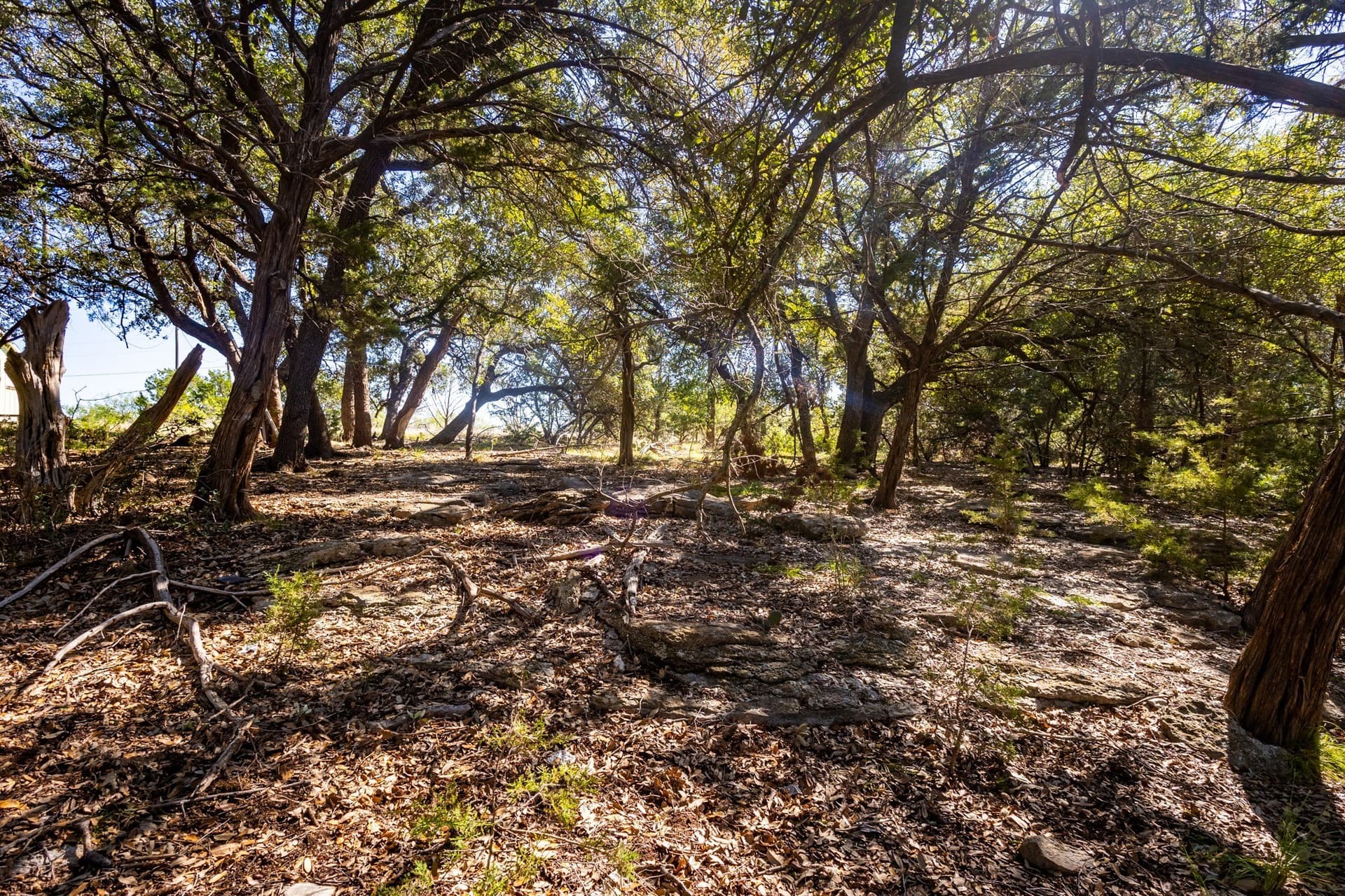 1.05 acres in Palo Pinto County - photo 12