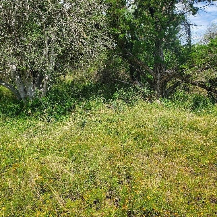 0.23 acres in Burnet County - photo 6