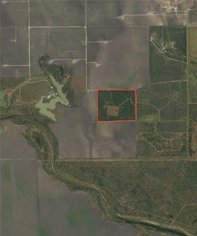 76.7 acres in Nueces County gallery image 3