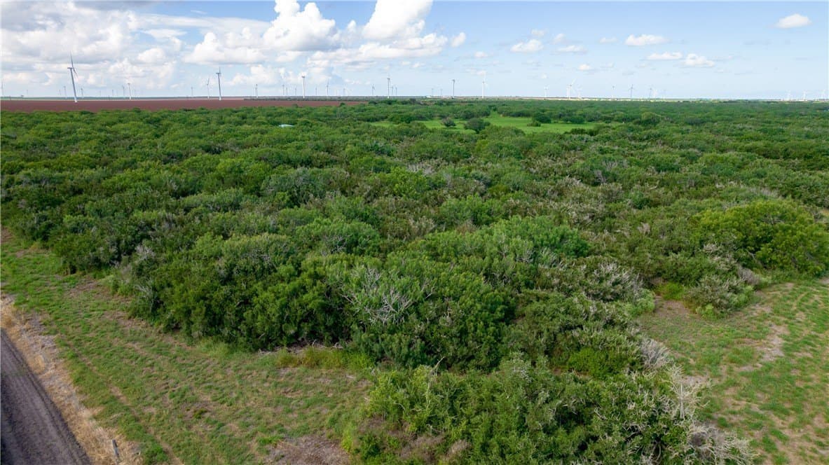 76.7 acres in Nueces County featured view