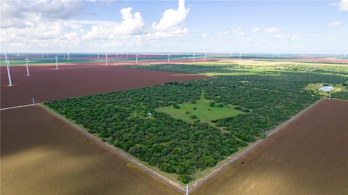 76.7 acres in Nueces County