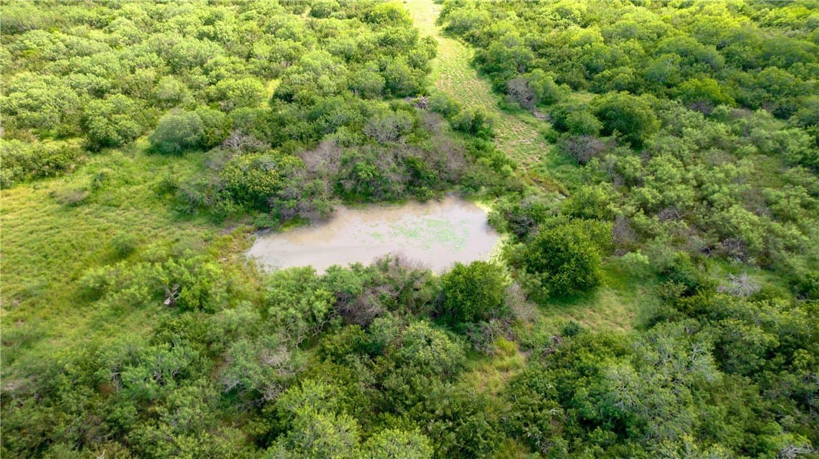 76.7 acres in Nueces County gallery image 4