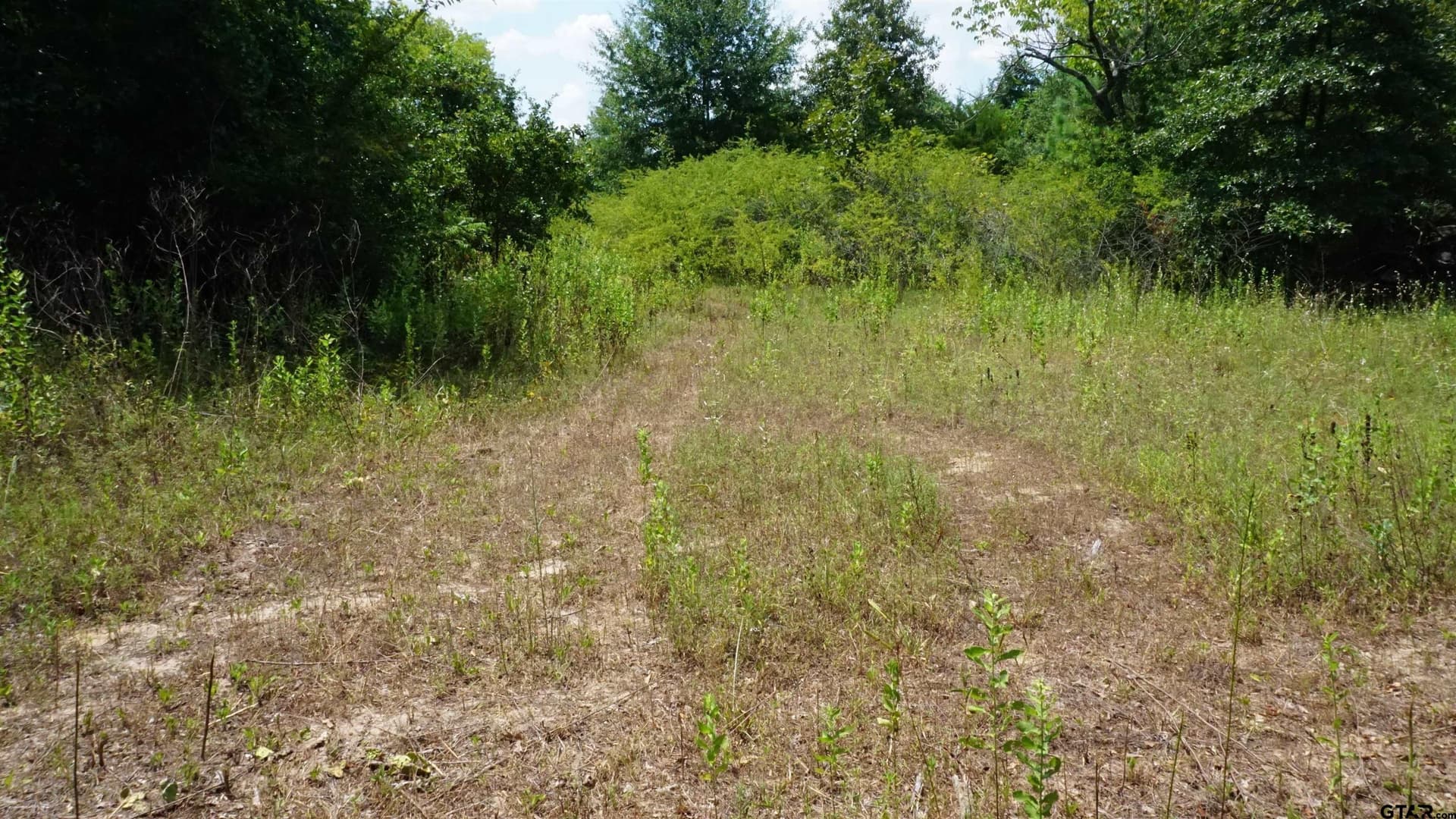 9.01 acres in Wood County - photo 23