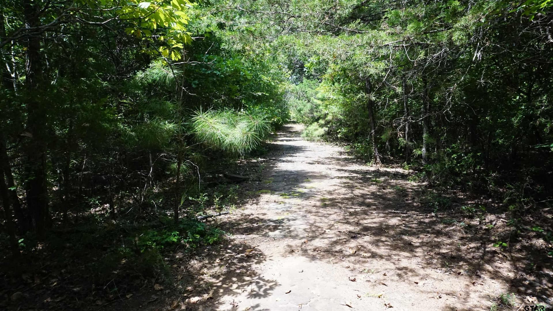 9.01 acres in Wood County - photo 17