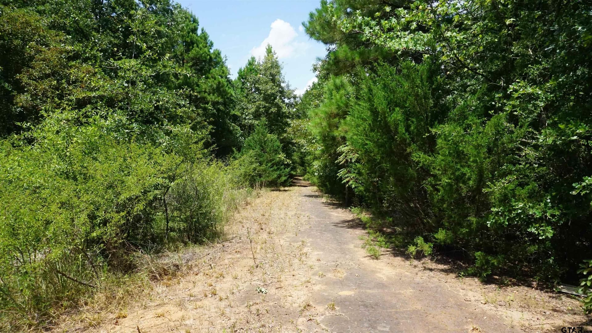 9.01 acres in Wood County - photo 13