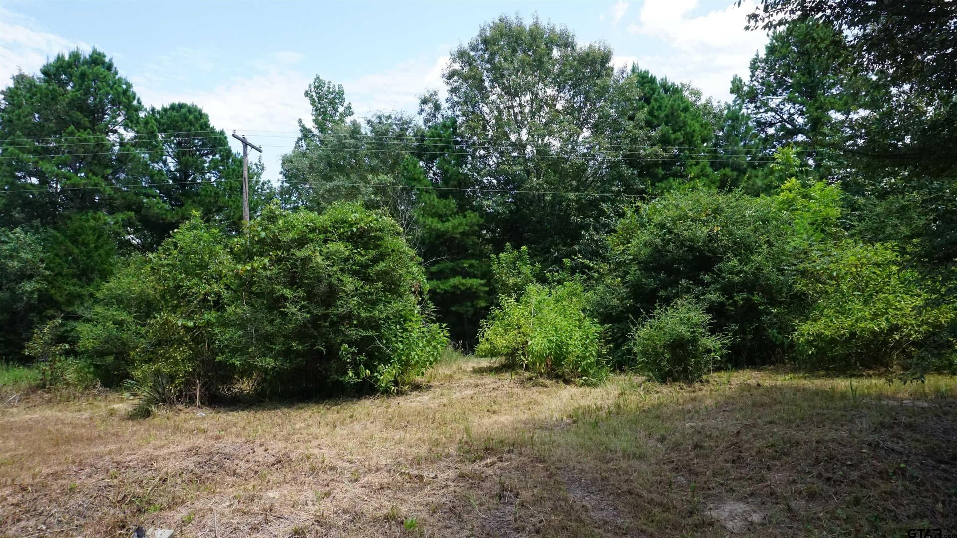 9.01 acres in Wood County - photo 10