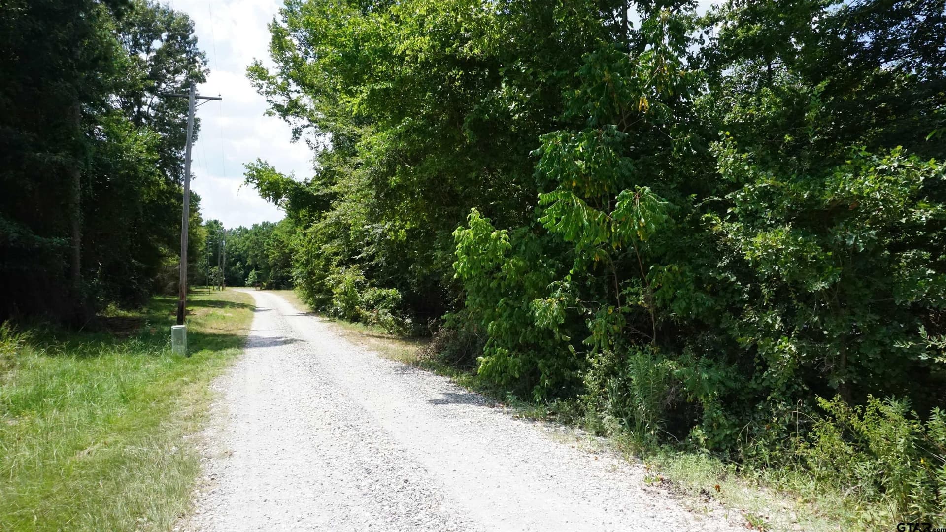 9.01 acres in Wood County - photo 2
