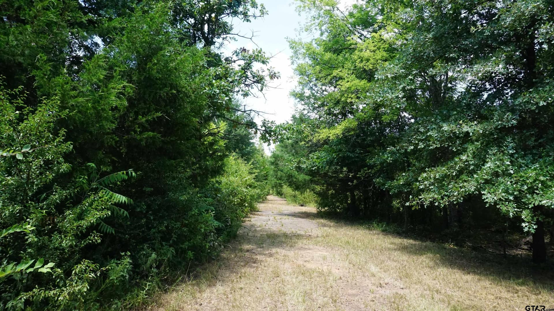 9.01 acres in Wood County - photo 6