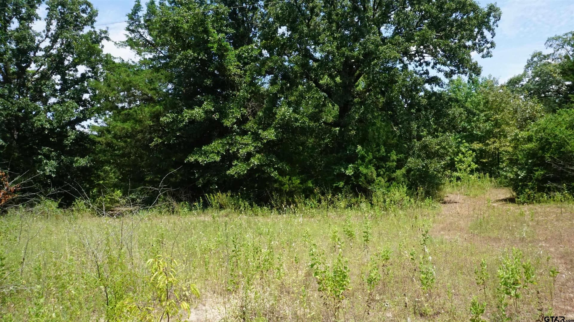 9.01 acres in Wood County - photo 21