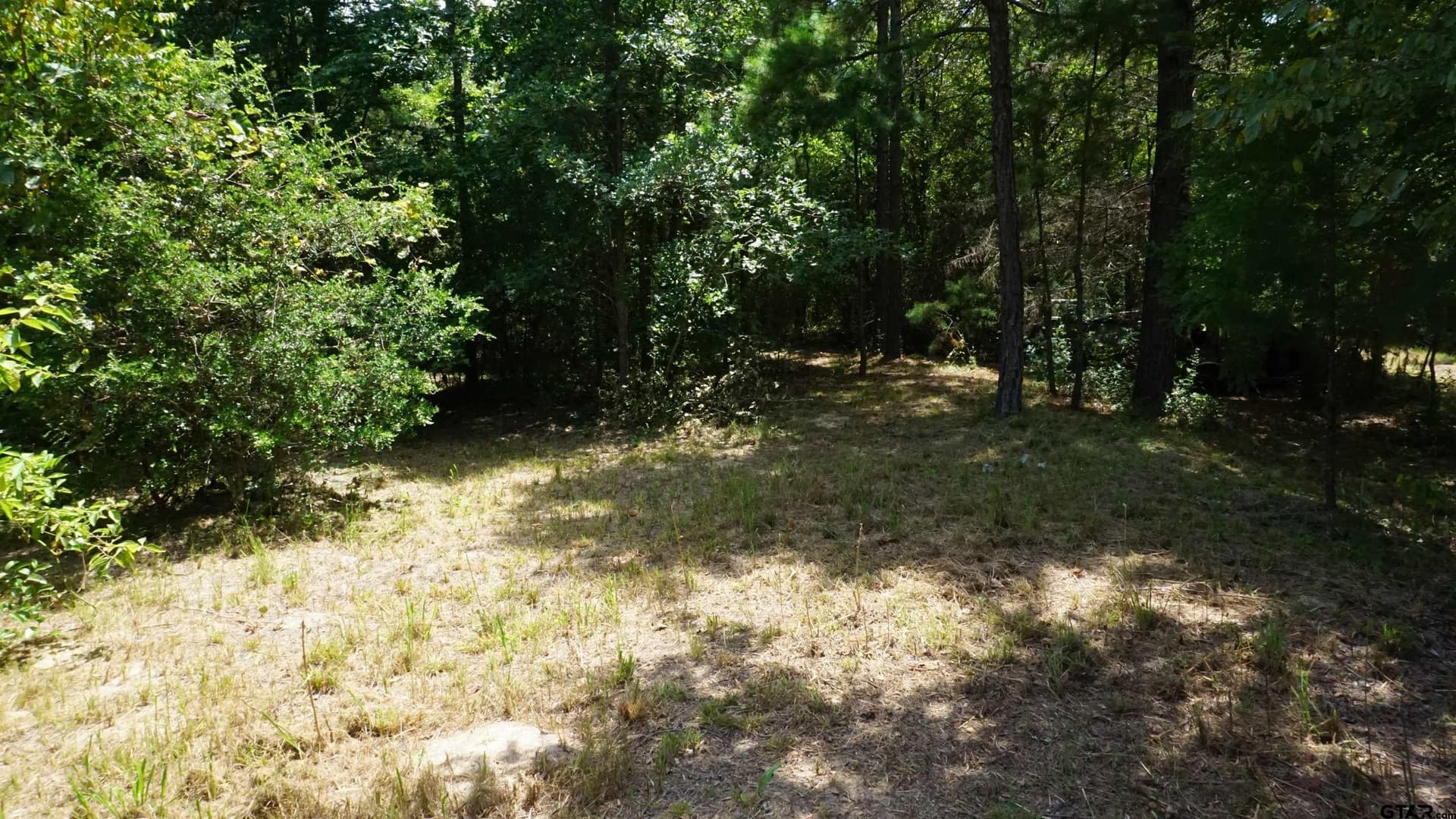 9.01 acres in Wood County - photo 25