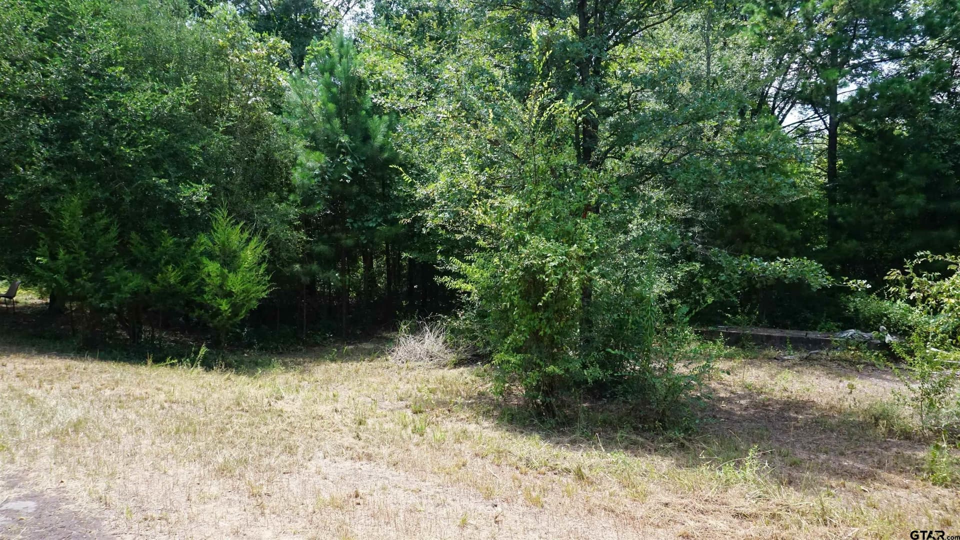 9.01 acres in Wood County - photo 11