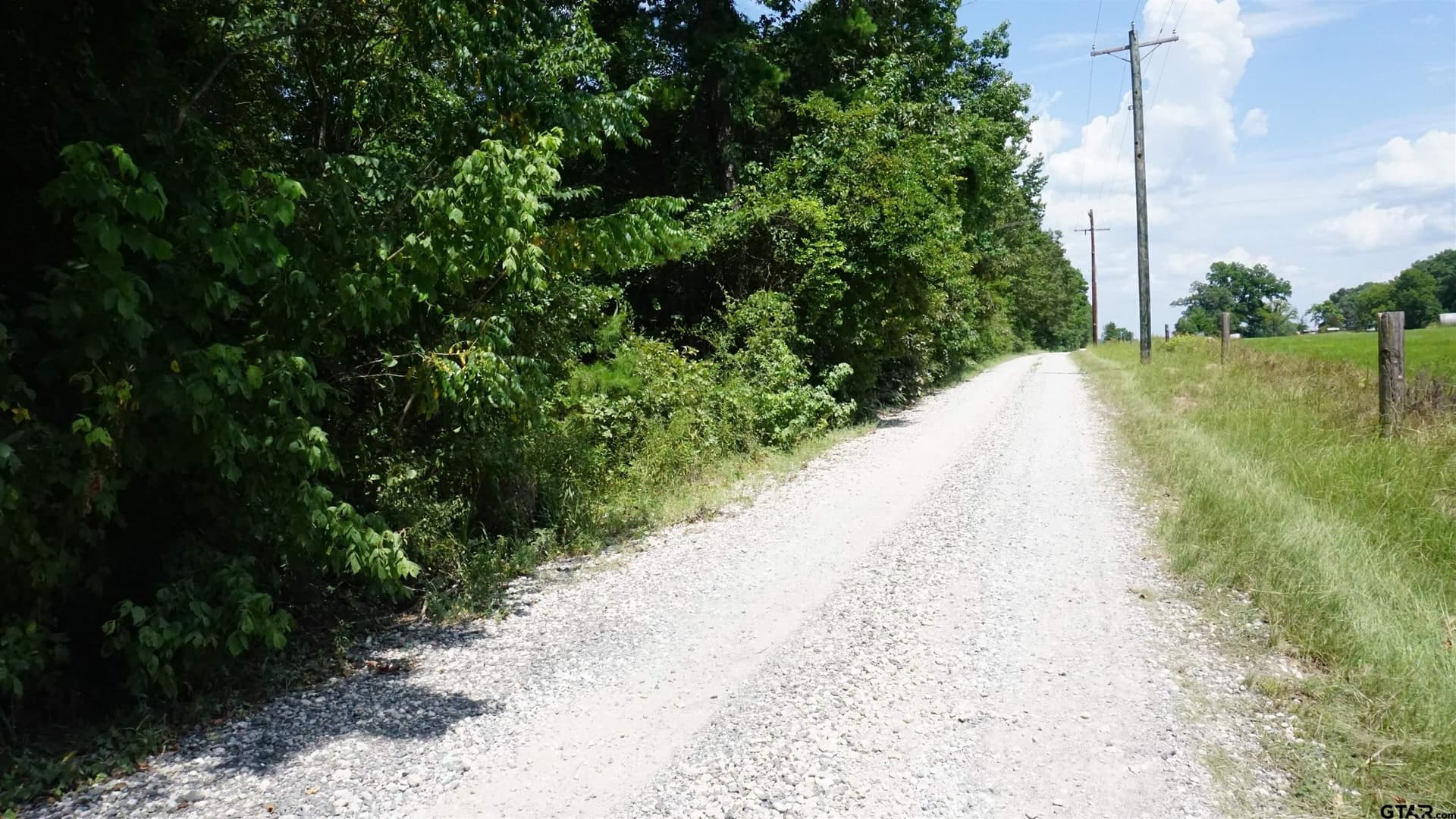9.01 acres in Wood County - photo 3