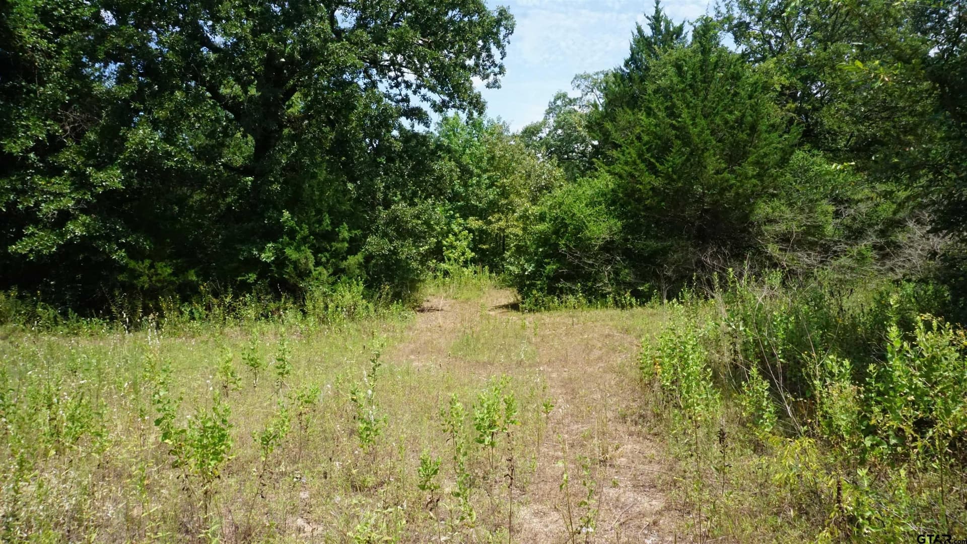 9.01 acres in Wood County - photo 20