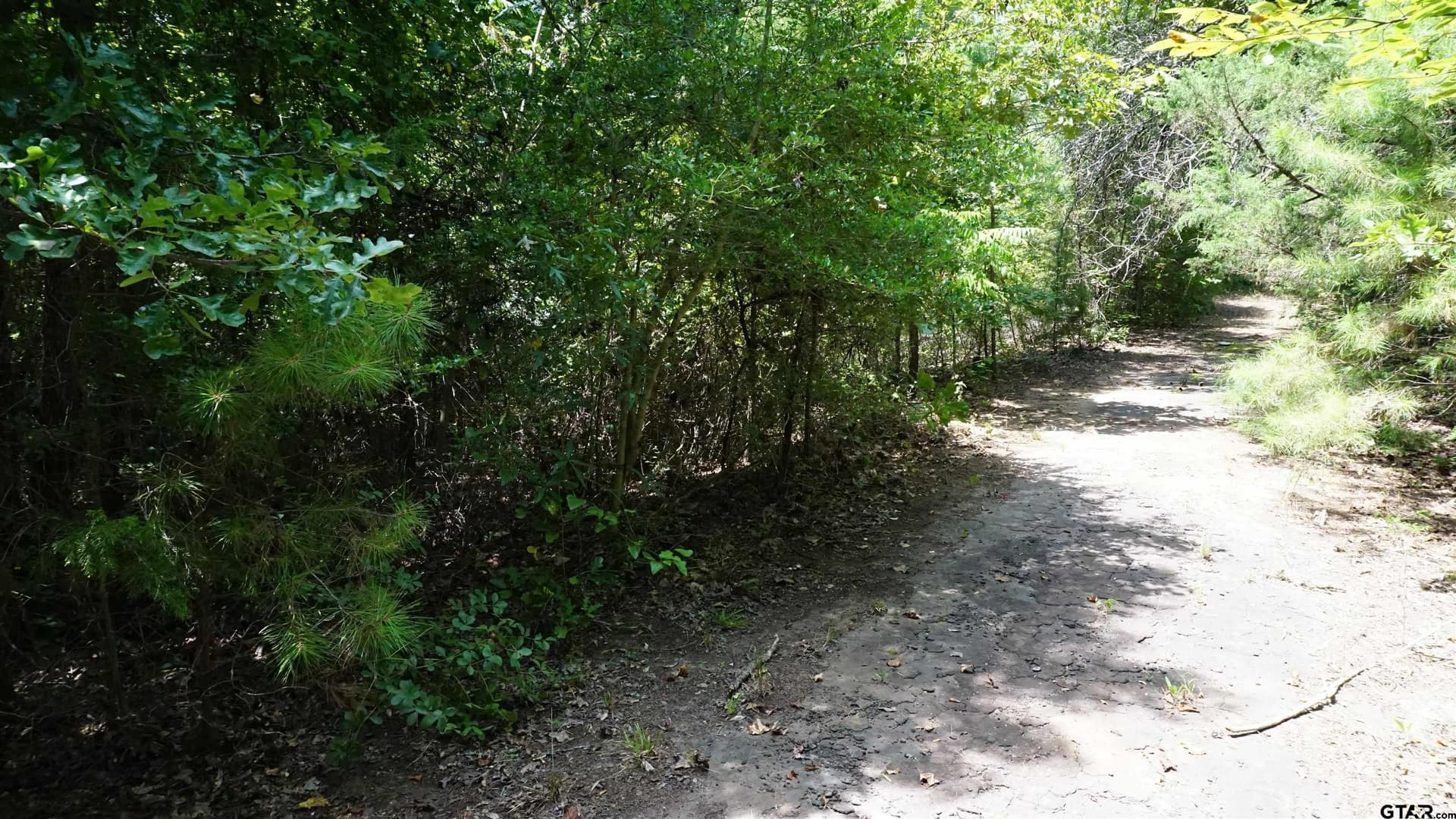 9.01 acres in Wood County - photo 18