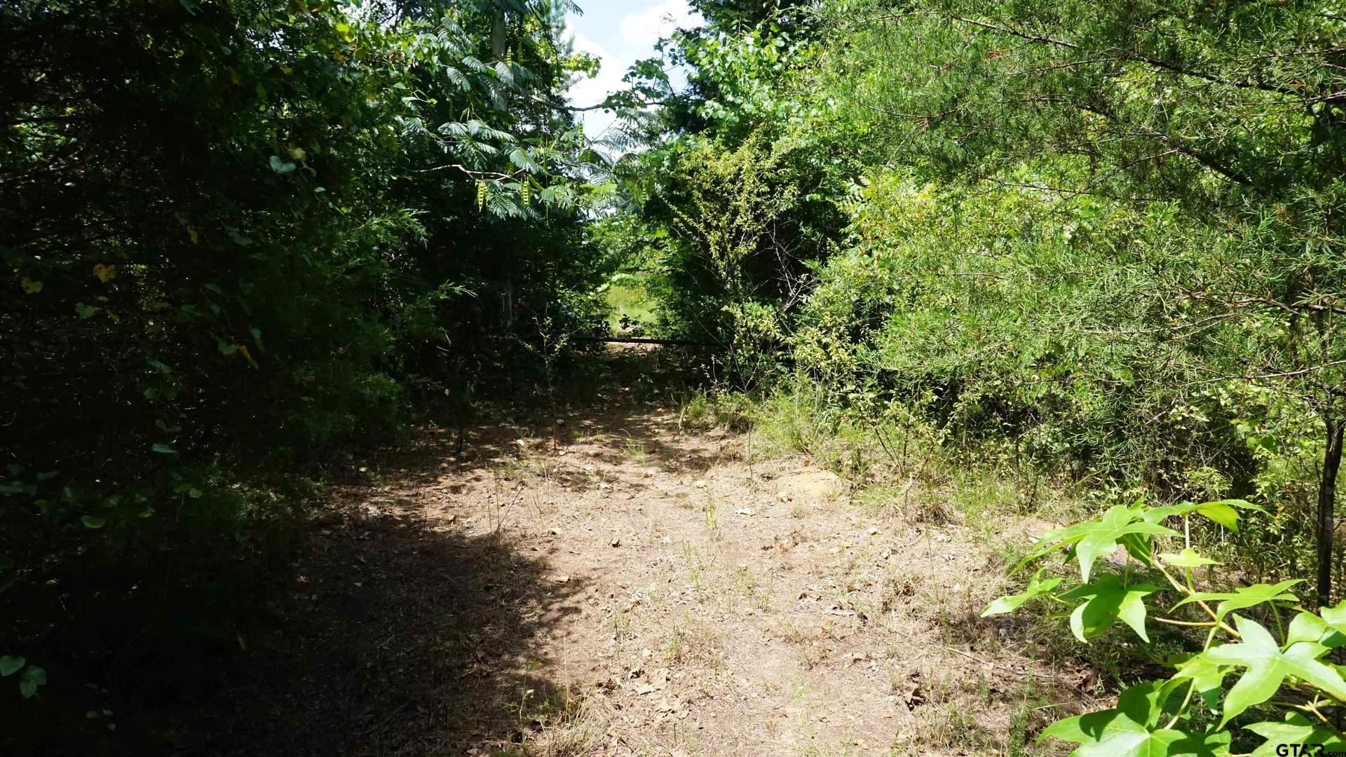 9.01 acres in Wood County - photo 28