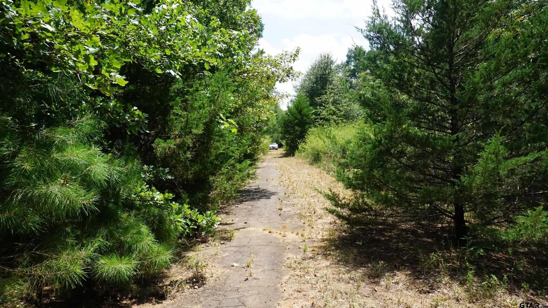 9.01 acres in Wood County - photo 16
