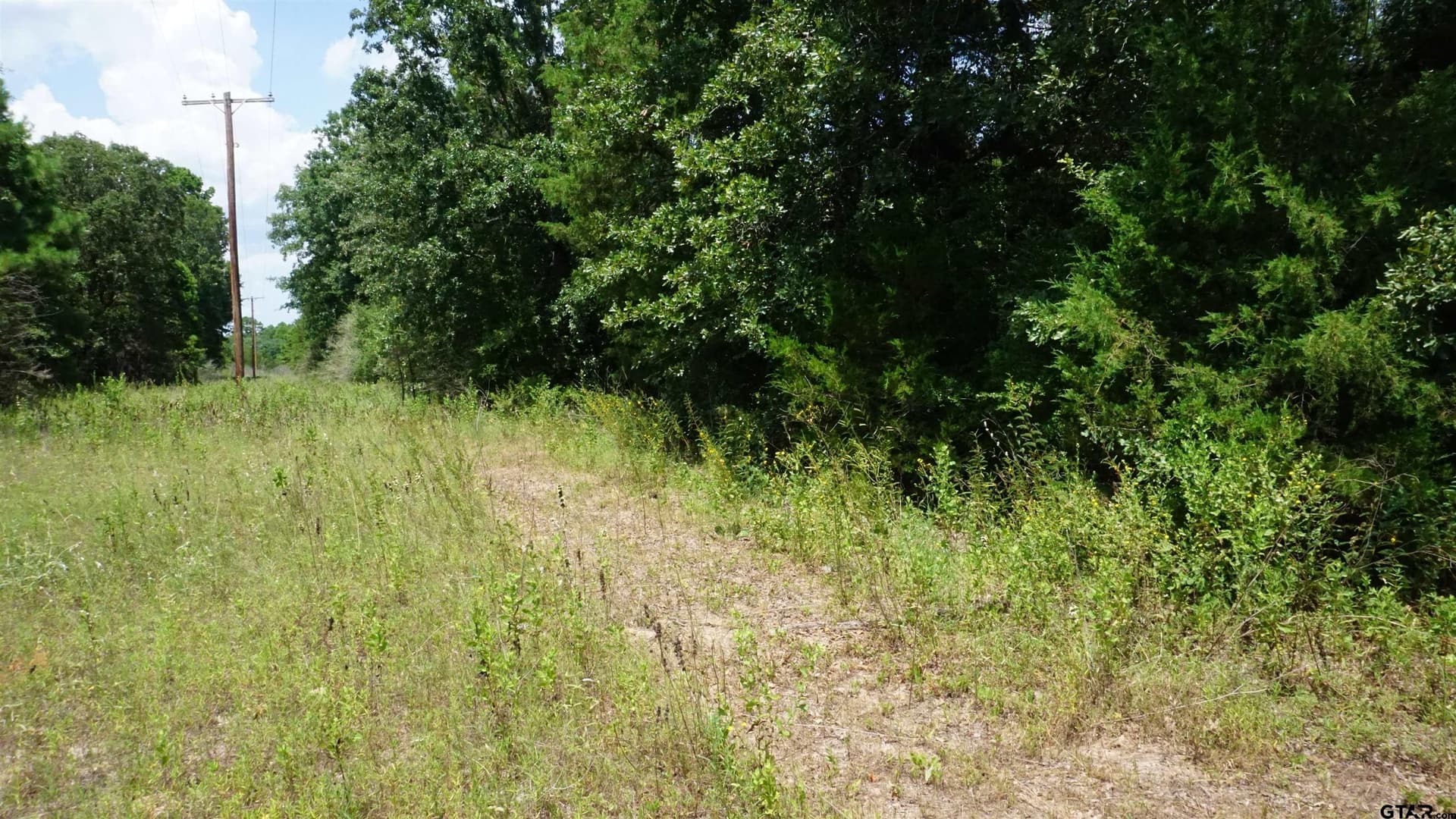 9.01 acres in Wood County - photo 22