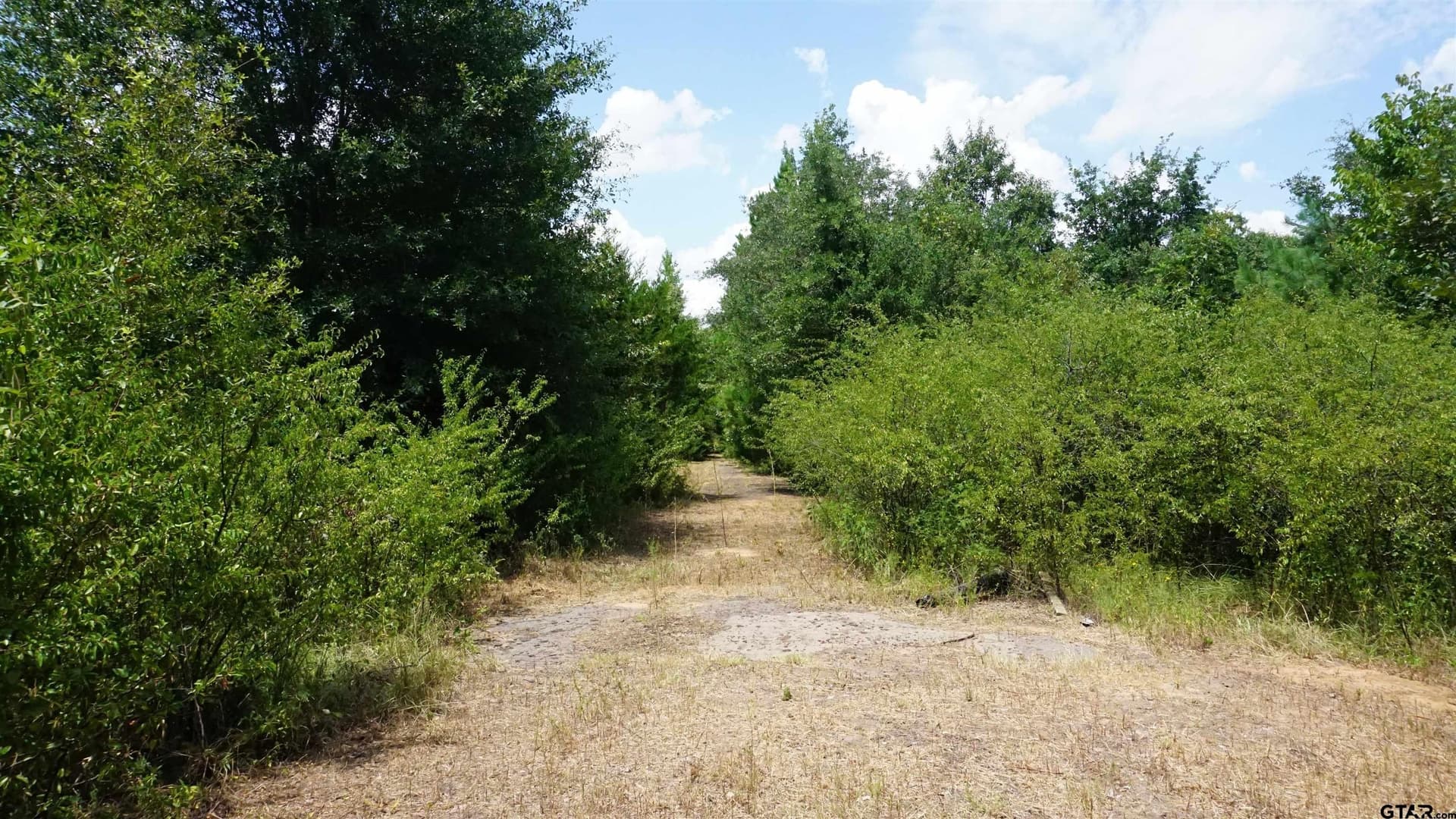 9.01 acres in Wood County - photo 12