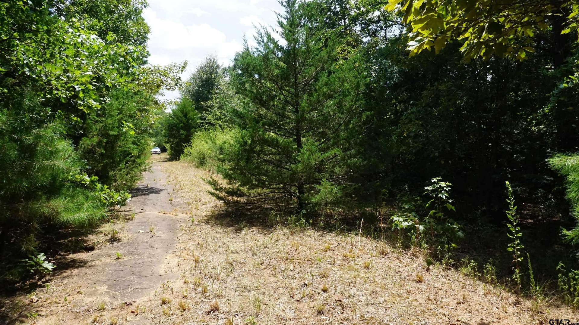 9.01 acres in Wood County - photo 19