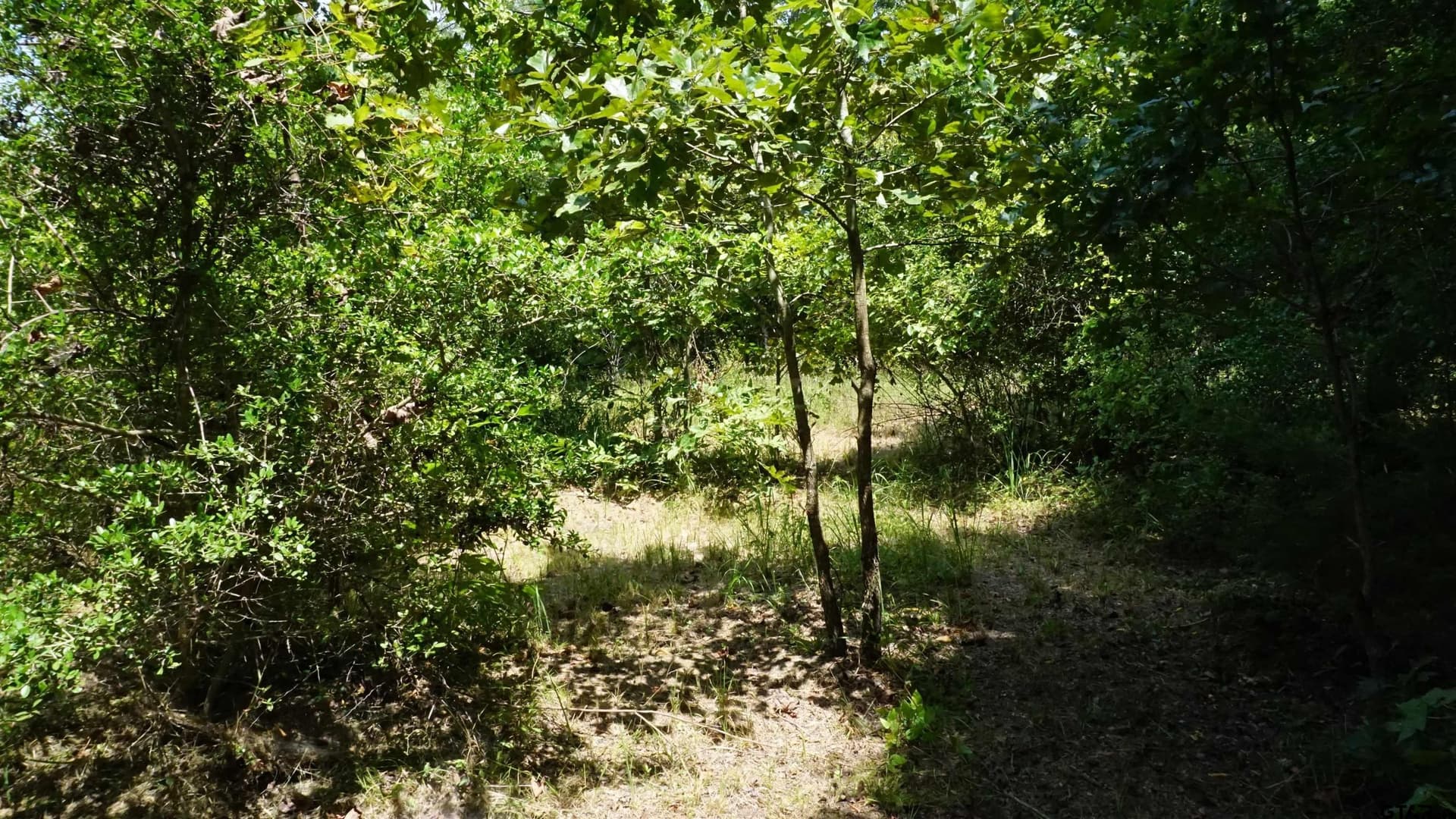 9.01 acres in Wood County - photo 27
